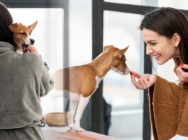 Uma pessoa segurando um cachorro pequeno com carinho, enquanto outra oferece um petisco, simbolizando cuidado e atenção personalizada para pets em casa.