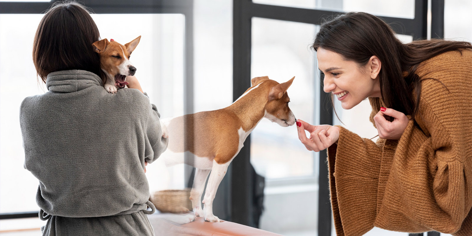 Uma pessoa segurando um cachorro pequeno com carinho, enquanto outra oferece um petisco, simbolizando cuidado e atenção personalizada para pets em casa.